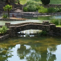 Photo de France - Le Jardin de Saint-Adrien : une oasis de verdure